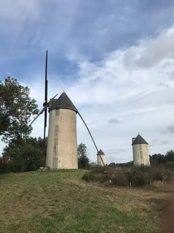Les moulins de Mouilleron St Germain en Vendée